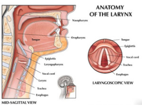 laryngology and microlaryngeal surgery