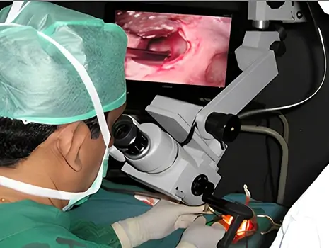 Micro Ear Surgery